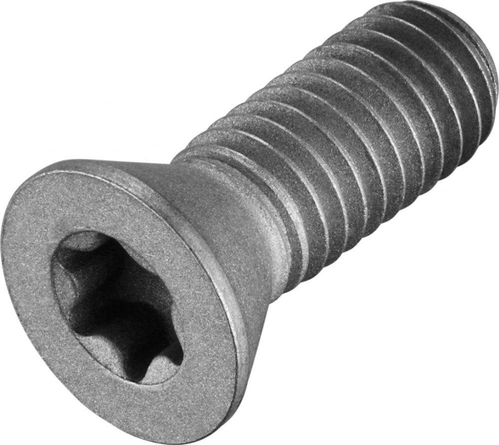 Clamping screw